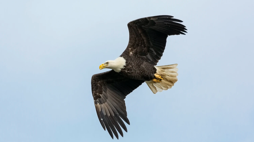 小程序內容轉化率如何提升？請做好這3點